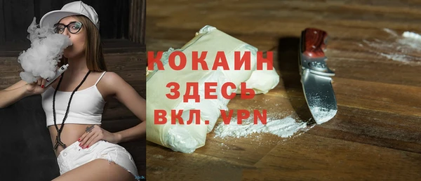 дмт Новозыбков