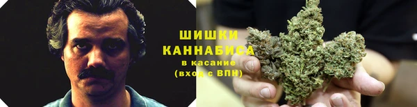 дмт Новозыбков