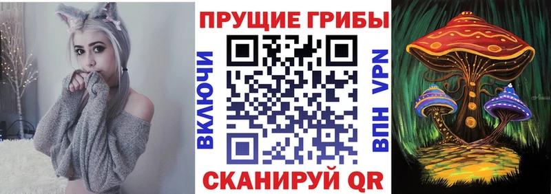 сколько стоит Струнино Галлюциногенные грибы прущие грибы