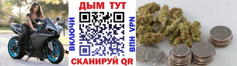 купить   Струнино  Шишки марихуана конопля 